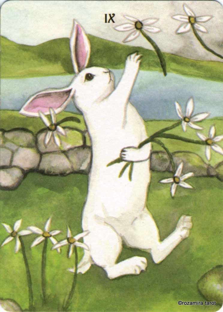 Rabbit Tarot